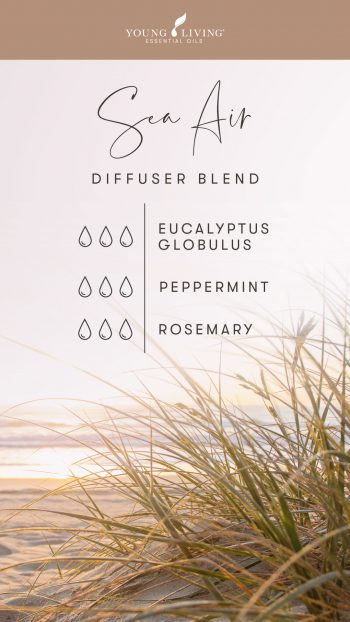 Squeaky-clean-scents-7-diffuser-blends-to-fake-a-clean-house_Sea-Air-Diffuser-Blend