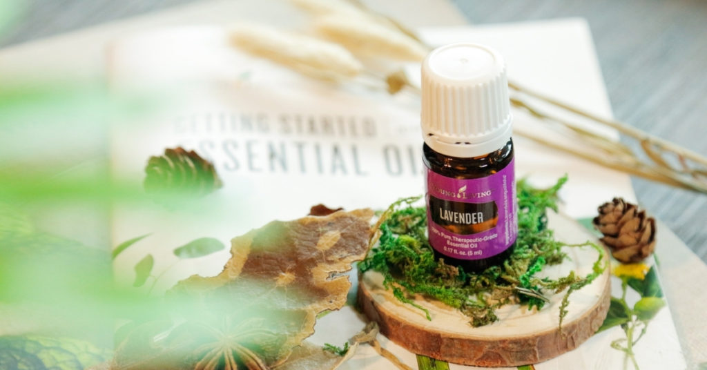 young living lavender essential oil